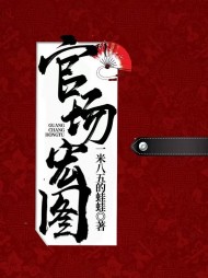官场宏图阅读