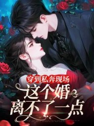 穿到私奔现场，这个婚离不了一点小说阅读