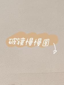 破镜慢慢圆后续+番外