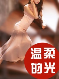 温柔的光小虎养母小说阅读