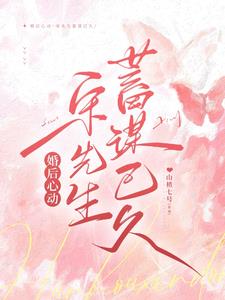 婚后心动，宋先生蓄谋已久阅读小说阅读