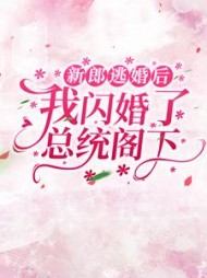 新郎逃婚后，我闪婚了总统阁下小说阅读