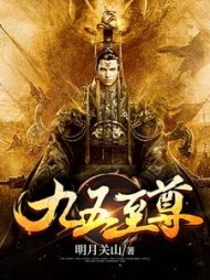 九五至尊阅读小说阅读