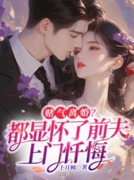 赌气离婚？都显怀了前夫上门忏悔小说阅读