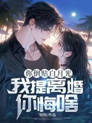 你倒贴白月光，我提离婚你悔啥阅读