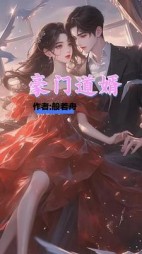 豪门道婿后续+番外小说阅读
