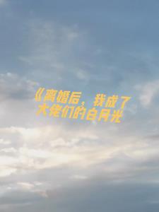 离婚后，我成了大佬们的白月光后续+番外小说阅读