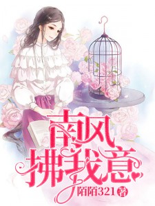 南风拂我意.小说阅读