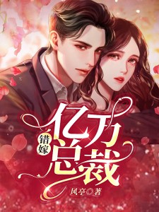 总裁的私宠甜妻小说阅读