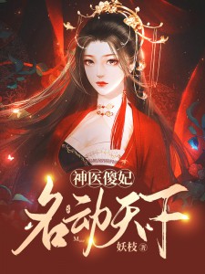 神医傻妃名动天下小说阅读