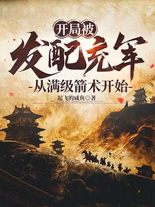 开局被发配充军，从满级箭术开始小说阅读