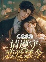 机长先生，请遵守恋爱禁令小说阅读
