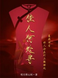佳人何处寻小说阅读