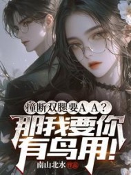 撞断双腿要AA？那我要你有鸟用小说阅读