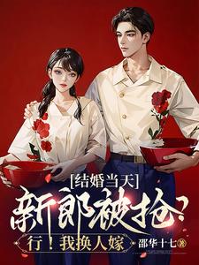 结婚当天新郎被抢？行！我换人嫁小说阅读