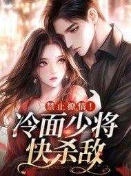 禁止撩情!冷面少将快杀敌林冉冉陆霆轩小说阅读