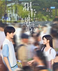 狙击蝴蝶七宝酥结局阅读小说阅读