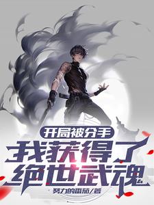 开局被分手，我获得了绝世武魂阅读小说阅读