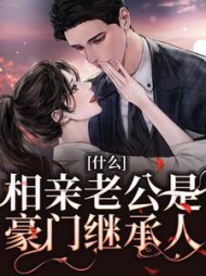 什么相亲老公是豪门继承人(苏晚瑶)