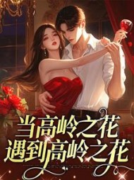 主角是叶莺严赴的小说阅读