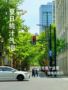 夏日桃汁气泡叶莺严赴阅读小说阅读