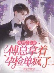 离婚后诈死，傅总拿着孕检单疯了小说阅读