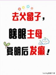 去父留子，瞎眼主母复明后发癫阅读小说阅读