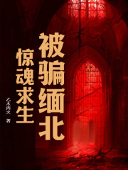 被骗缅北惊魂求生阿龙东子小说阅读