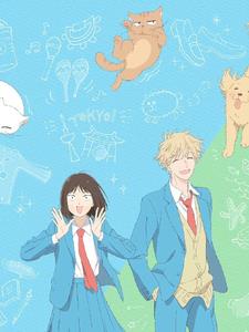 爱是一场关于夏天的盛事小说阅读