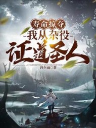 寿命掠夺，我从杂役证道圣人小说阅读