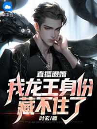 叶辰楚柚小说阅读