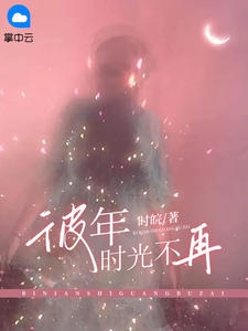 彼年时光不再小说阅读