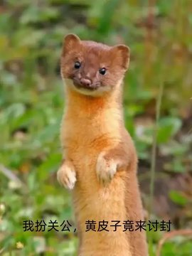 乔城朱长风关域小说小说阅读