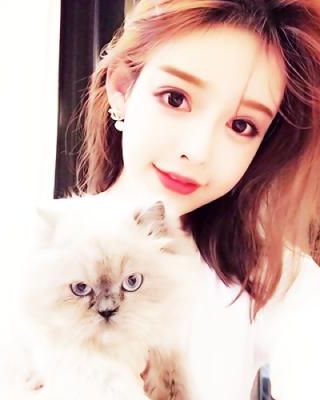 梅子熟时栀子香