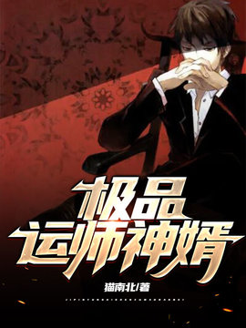 极品运师神婿小说阅读