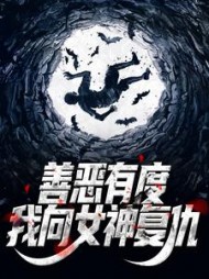 善恶有度，我向女神复仇顾衡小说阅读