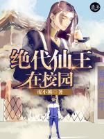 林飞乔婷婷小说阅读