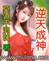 李飞顾晓梦小说阅读