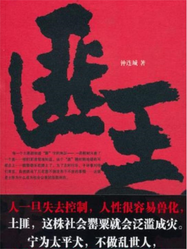 匪王小说阅读