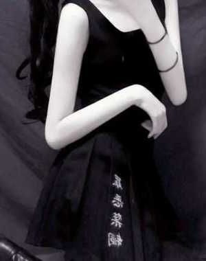 《大理寺.卿（双洁破案）》作者：安妮薇【番外全】小说阅读