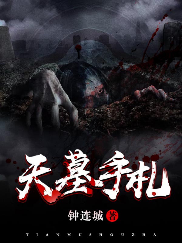 天墓手札小说阅读