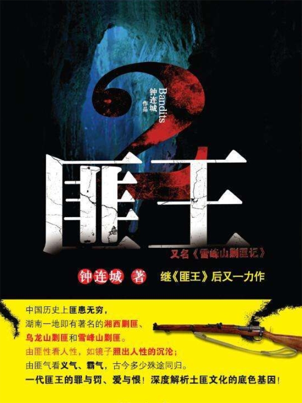匪王2小说阅读