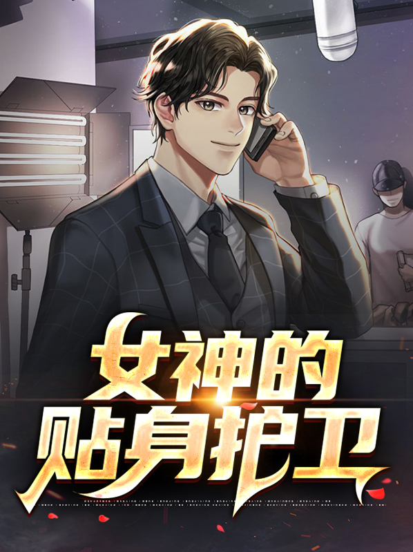 女神的贴身护卫小说阅读