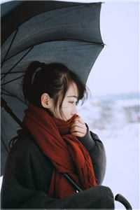 《雪葬长风不相见》楚长风 宋衔雪