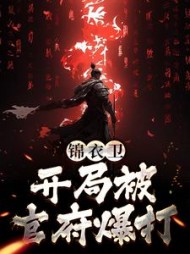 锦衣卫开局被官府爆打苏岩