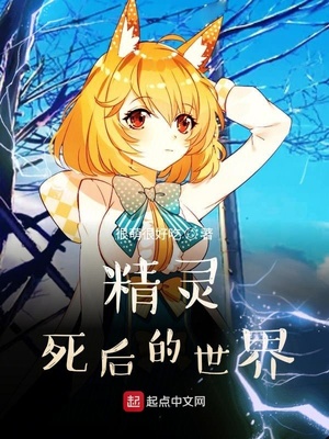 精灵死后的世界小说阅读