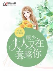 顾少，夫人又在套路你(洛满满) - 顾少，夫人又在套路你全文在线阅读 - 顾少，夫人又在套路你最新章节 - 润准网