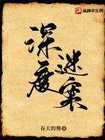 深度迷案小说阅读