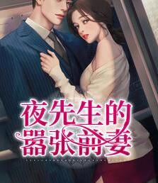 夜先生的嚣张前妻小说阅读