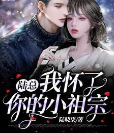 陆总，我怀了你的小祖宗小说阅读